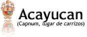 Acayucan punto com