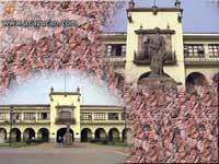 Papel tapiz del Palacio